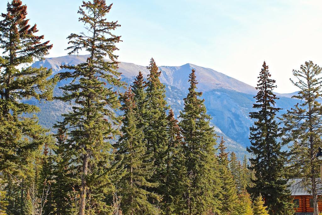 Luxury Canmore Vacations Zewnętrze zdjęcie